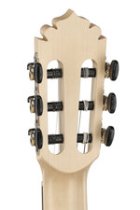 ECOLOGÍA Series Samba Acoustic / Electric Guitar with Case