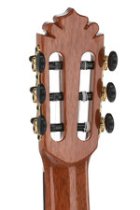 Café Cortado Cutaway Guitar Rosewood Satin Acoustic / Electric Guitar with Case