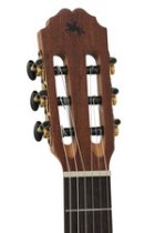 Caballero Acoustic Guitar Principio Series P Olive