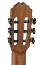 Caballero Acoustic Guitar Principio Series P Olive