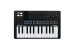 Portable 25-Key MIDI Controller, Black