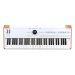 Astrolab 61-Note Semi-Weighted Keyboard With Piano-size Keys & Aftertouch 