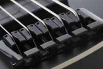 Left Handed SLS Elite-5 "Evil Twin" 5 String Electric Bass