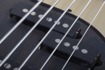 Model-T 5 Exotic Ziricote 5-String Electric Bass, Natural Satin