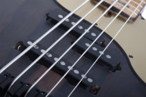 Model-T 5 Exotic Ziricote 5-String Electric Bass, Natural Satin