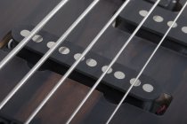 Model-T 5 Exotic Ziricote 5-String Electric Bass, Natural Satin