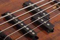 Michael Anthony MA-5 5-String Electric Bass, Gloss Natural