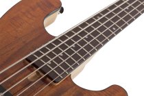 Michael Anthony MA-5 5-String Electric Bass, Gloss Natural